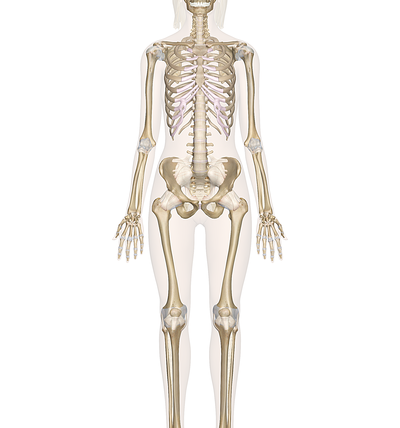 Osteopenia e osteoporosi